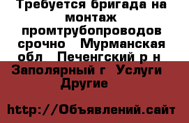 Требуется бригада на монтаж промтрубопроводов срочно - Мурманская обл., Печенгский р-н, Заполярный г. Услуги » Другие   